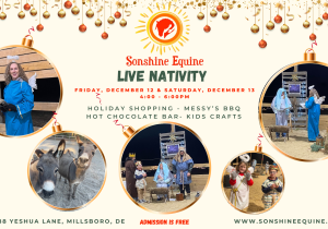 Sonshine Equine LIVE NATIVITY