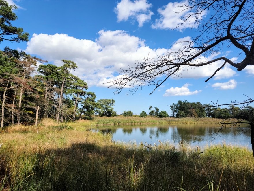 Delaware Botanic Gardens at Pepper Creek