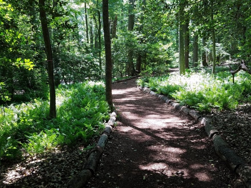 Delaware Botanic Gardens at Pepper Creek