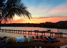 Delmarva Board Sports Waterfront Concession