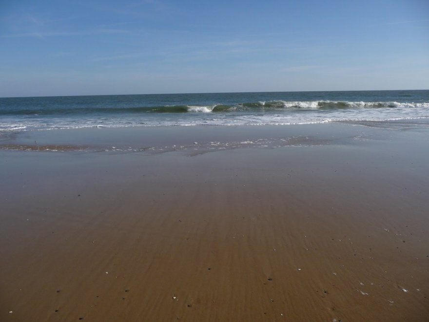 Fenwick Island State Park