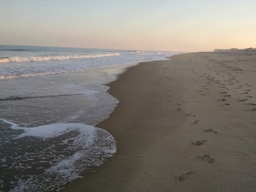 Fenwick Island State Park