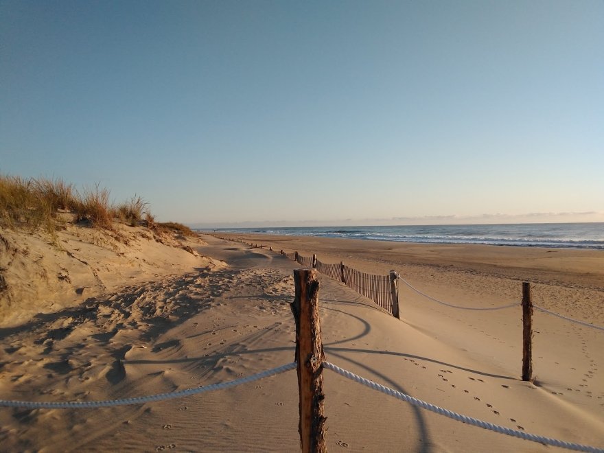 Fenwick Island State Park