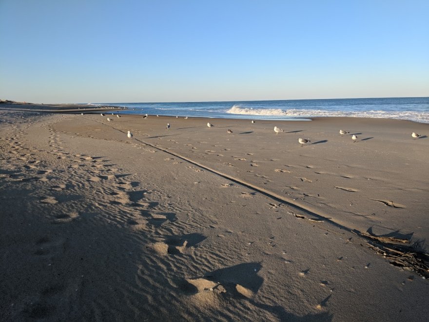 Fenwick Island State Park