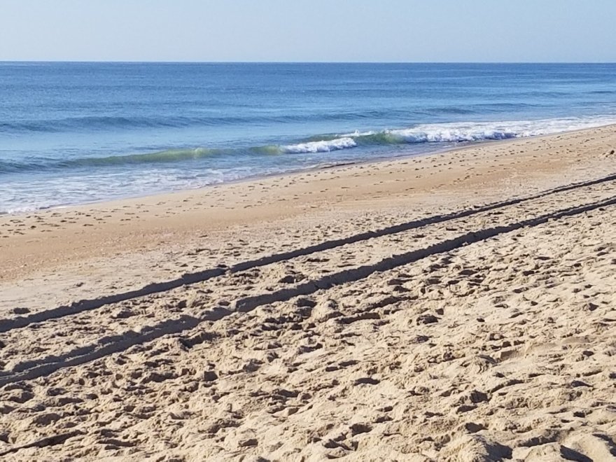 Fenwick Island State Park