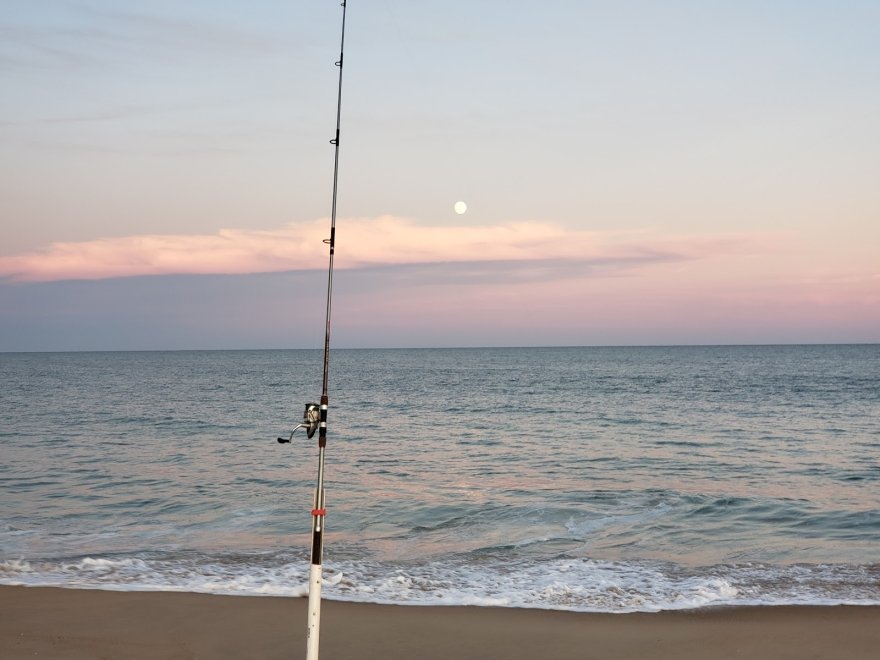 Fenwick Island State Park