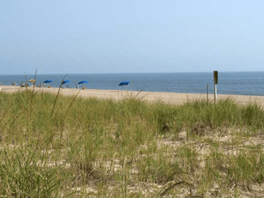 Beach View Hotel