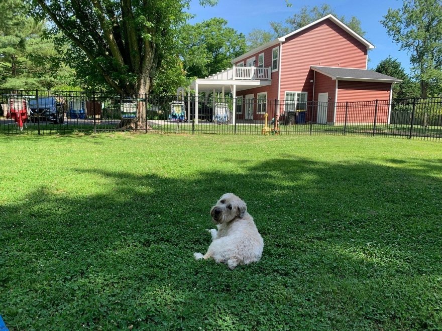 Homestead B&B at Rehoboth Beach