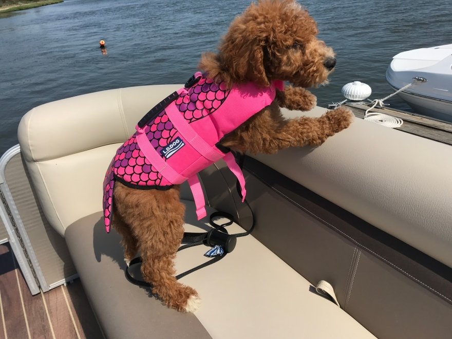 Freedom Boat Club